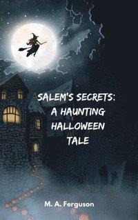 bokomslag Salem's Secrets