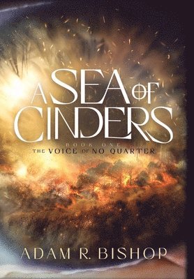 bokomslag Sea of Cinders