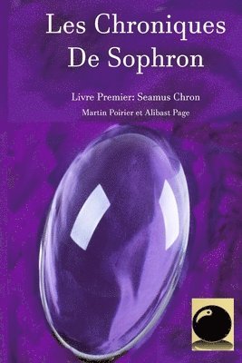 bokomslag Les Chroniques de Sophron: Livre Premier: Seamus Chron