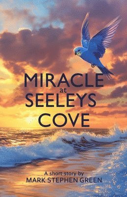 Miracle at Seeleys Cove 1