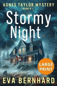 bokomslag Stormy Night - Large Print Edition