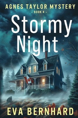 Stormy Night - Suspenseful Canadian Mystery 1