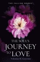 bokomslag Soul's Journey to Love