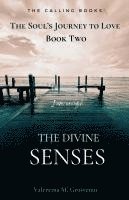 bokomslag Divine Senses
