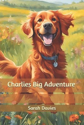 bokomslag Charlies Big Adventure