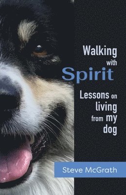 bokomslag Walking with Spirit: Lessons on Living from my dog