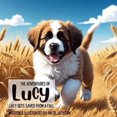 bokomslag The Adventures of Lucy - Lucy Gets Saved From a Fall