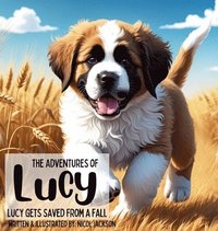 bokomslag The Adventures of Lucy - Lucy Gets Saved From A Fall