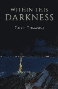 bokomslag Within This Darkness