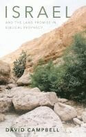 bokomslag Israel and the Land Promise in Biblical Prophecy