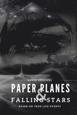 David M Krulicki, David M. Krulicki - Paper Planes & Falling Stars, Häftad