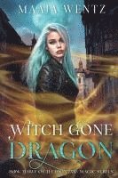 bokomslag Witch Gone Dragon