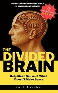 bokomslag Divided Brain