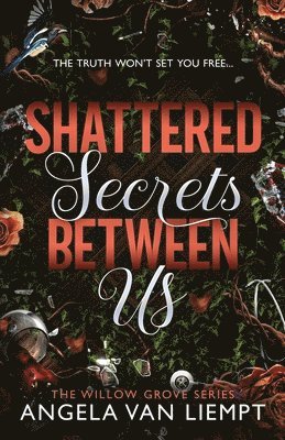 Angela Van Liempt - Shattered Secrets Between Us, Häftad