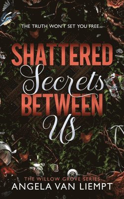Angela Van Liempt - Shattered Secrets Between Us, Inbunden