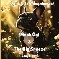 bokomslag Ogi's Life Adventures! Meet Ogi & The Big Sneeze