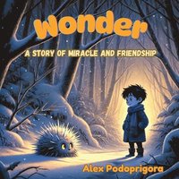bokomslag Wonder