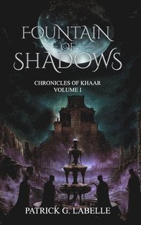 bokomslag Fountain of Shadows