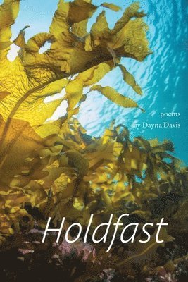bokomslag Holdfast