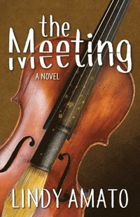 bokomslag Meeting