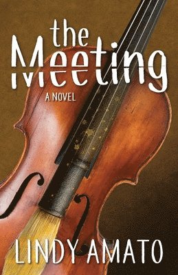 bokomslag Meeting