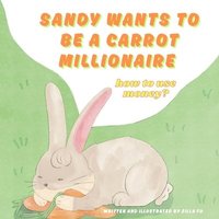 bokomslag Sandy wants to be a carrot millionaire how to use money?