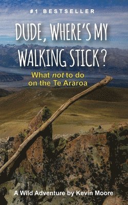 Dude, Where's My Walking Stick?