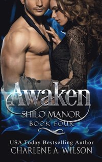 bokomslag Awaken: Multi-dimensional Soul Mates