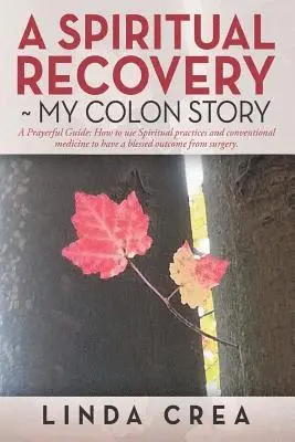Linda Crea - Spiritual Recovery my colon story, Häftad. Tillgänglighet: Lägg i varukorg