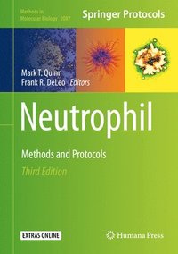 bokomslag Neutrophil