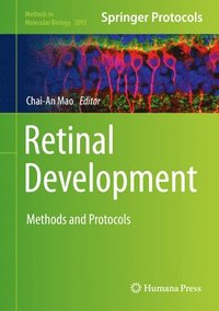 bokomslag Retinal Development