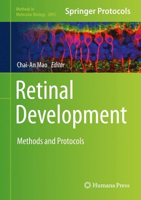 Retinal Development 1