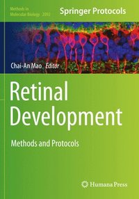 bokomslag Retinal Development