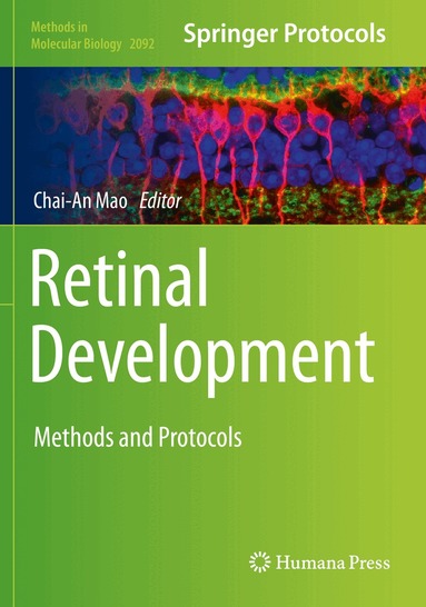 Chai-An Mao - Retinal Development, Häftad