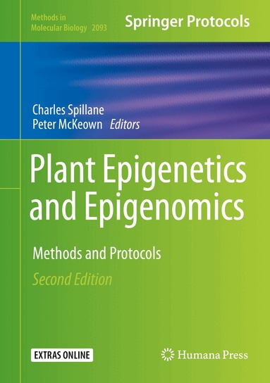 Charles Spillane, Peter McKeown - Plant Epigenetics and Epigenomics, Inbunden