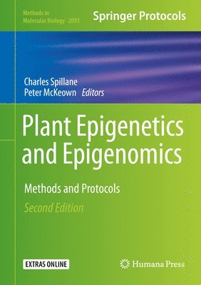 bokomslag Plant Epigenetics and Epigenomics