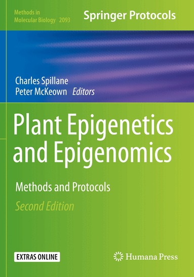 Charles Spillane, Peter McKeown - Plant Epigenetics and Epigenomics, Häftad