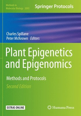 Plant Epigenetics and Epigenomics