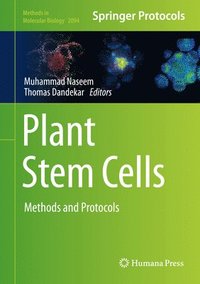 bokomslag Plant Stem Cells