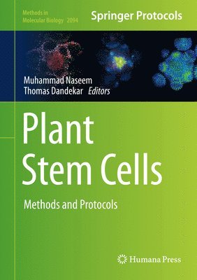 bokomslag Plant Stem Cells