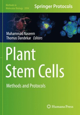 bokomslag Plant Stem Cells