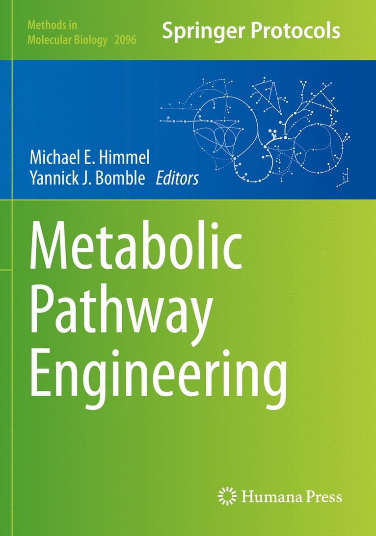 Michael E. Himmel, Yannick J. Bomble - Metabolic Pathway Engineering, Häftad