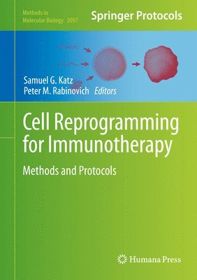 Cell Reprogramming for Immunotherapy 1