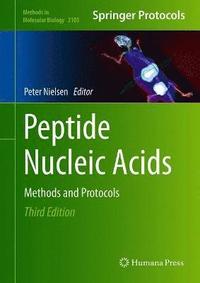 bokomslag Peptide Nucleic Acids