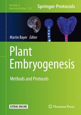 bokomslag Plant Embryogenesis