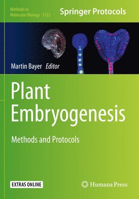 bokomslag Plant Embryogenesis