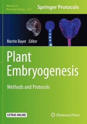 Plant Embryogenesis 1