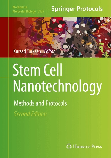 Kursad Turksen - Stem Cell Nanotechnology, Inbunden