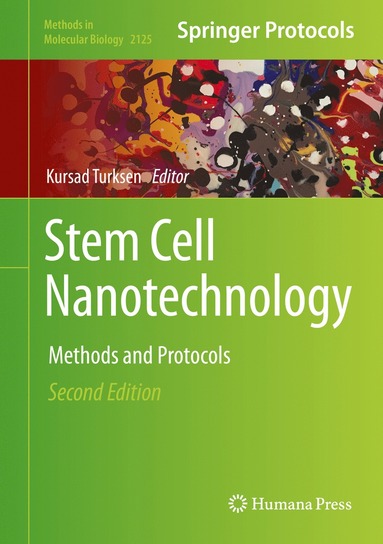 bokomslag Stem Cell Nanotechnology