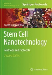 bokomslag Stem Cell Nanotechnology